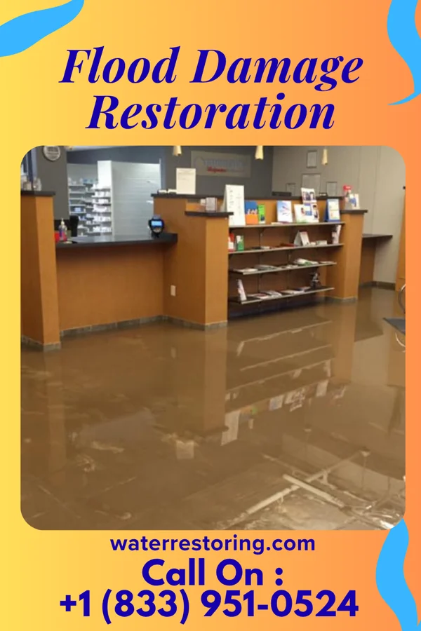 Flood Damage Restoration in Fritch, TX