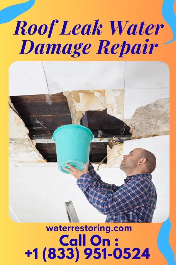 Roof Leak Water Damage Repair in Fritch, TX