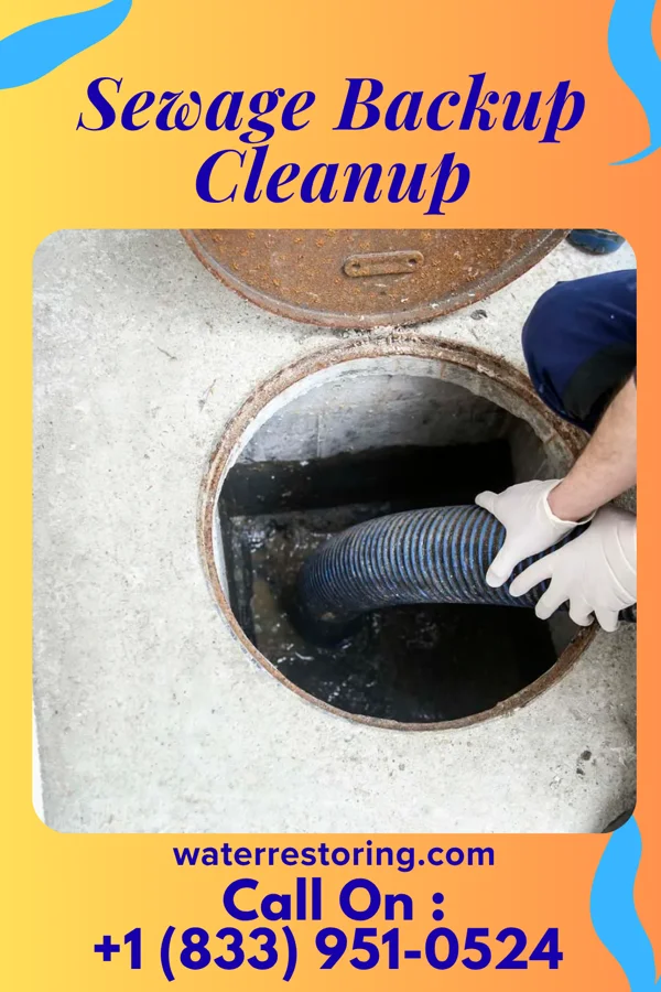 Sewage Backup Cleanup in Fritch, TX